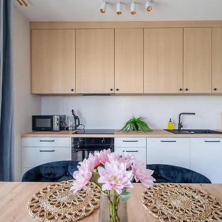 Apartamento Starowiejska 67a Garaz By Perfect 27